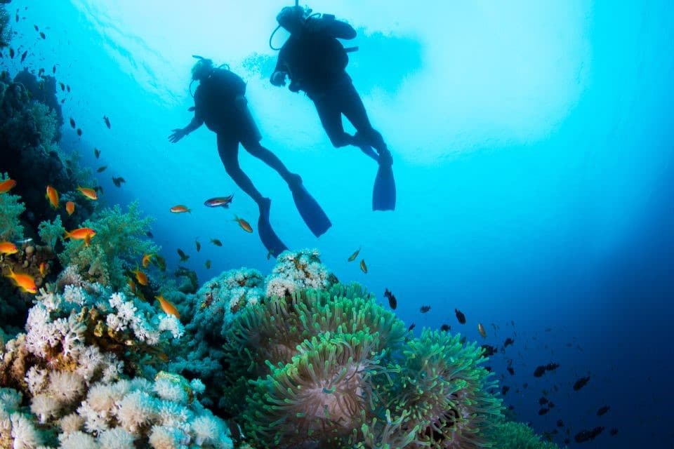 La certification PADI au Mexique